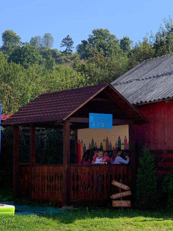 Pensiunea Simi Moisei Buitenkant foto