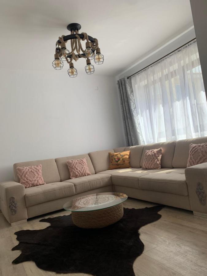 Pensiunea Simi Moisei Buitenkant foto