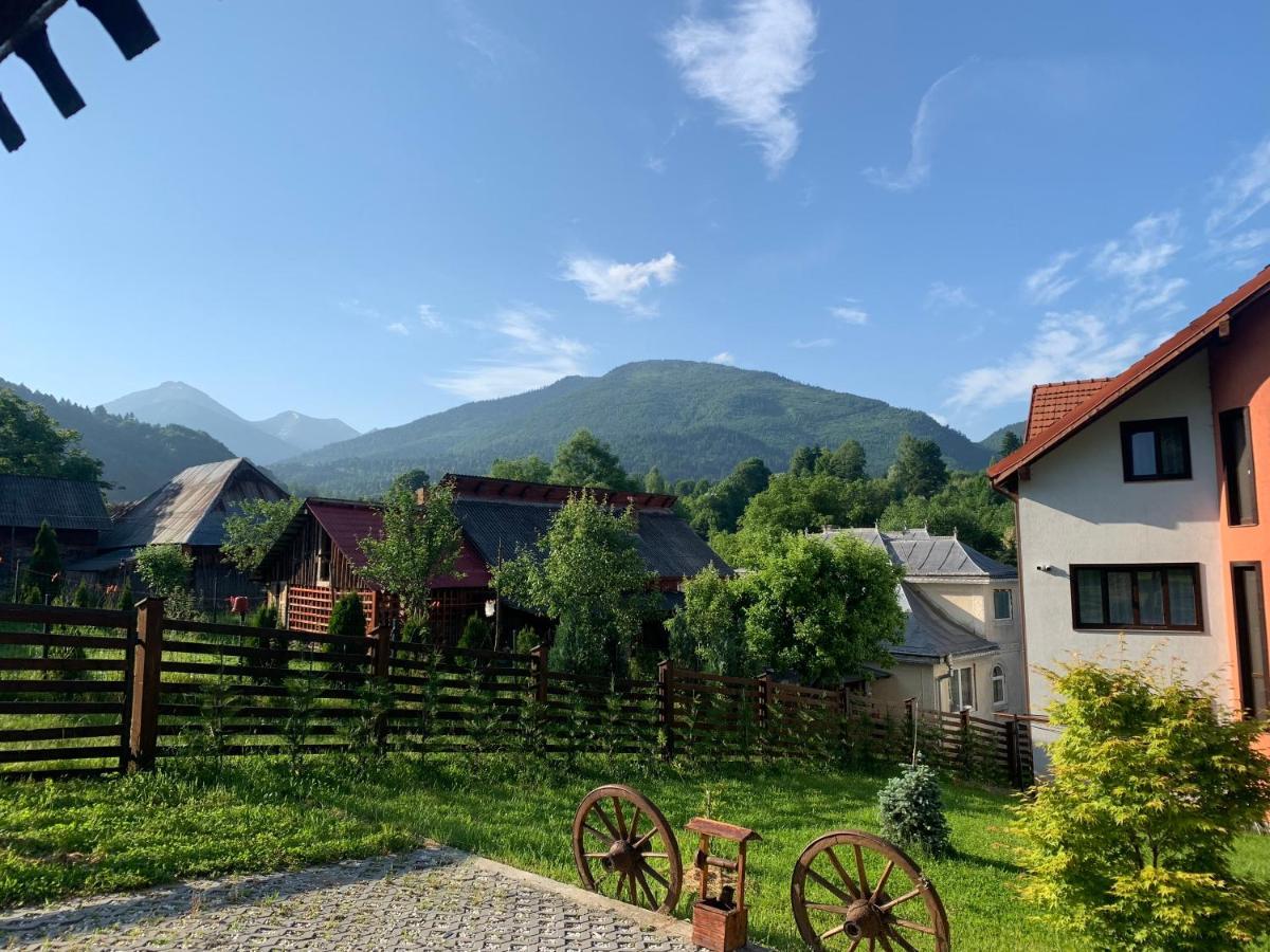 Pensiunea Simi Moisei Buitenkant foto