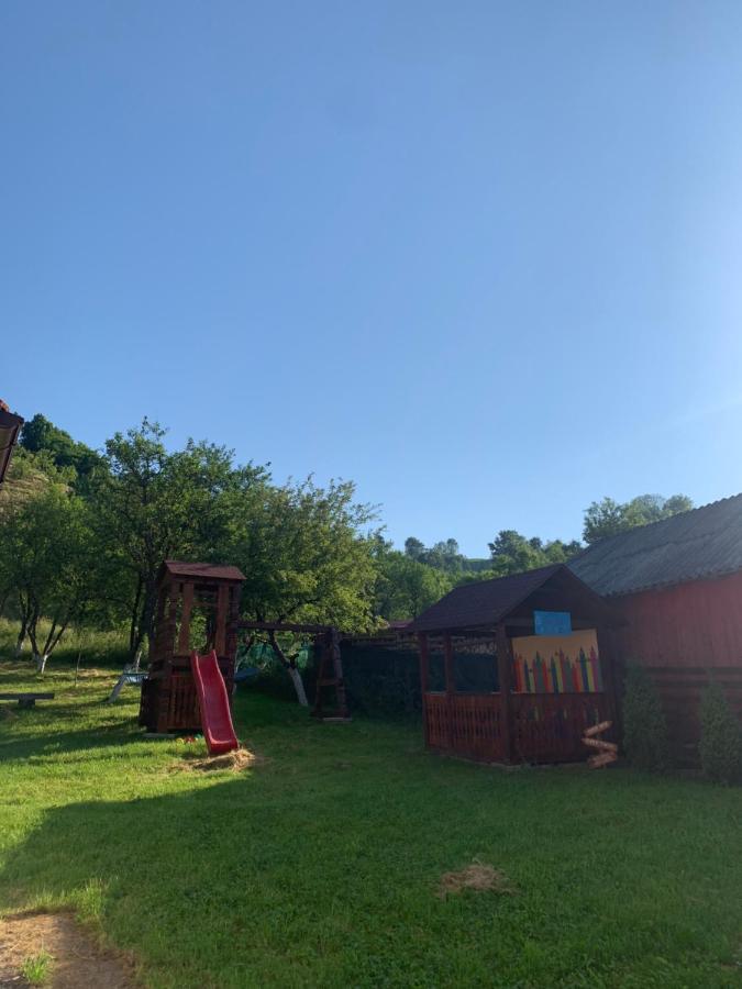 Pensiunea Simi Moisei Buitenkant foto