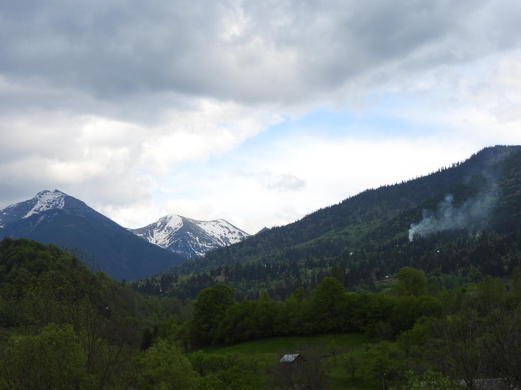 Pensiunea Simi Moisei Buitenkant foto