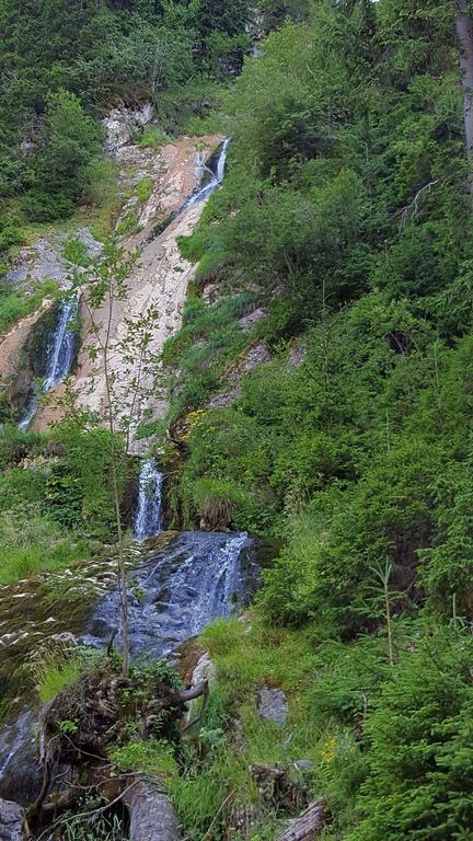 Pensiunea Simi Moisei Buitenkant foto