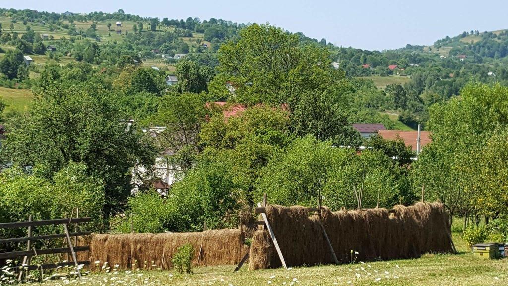 Pensiunea Simi Moisei Buitenkant foto