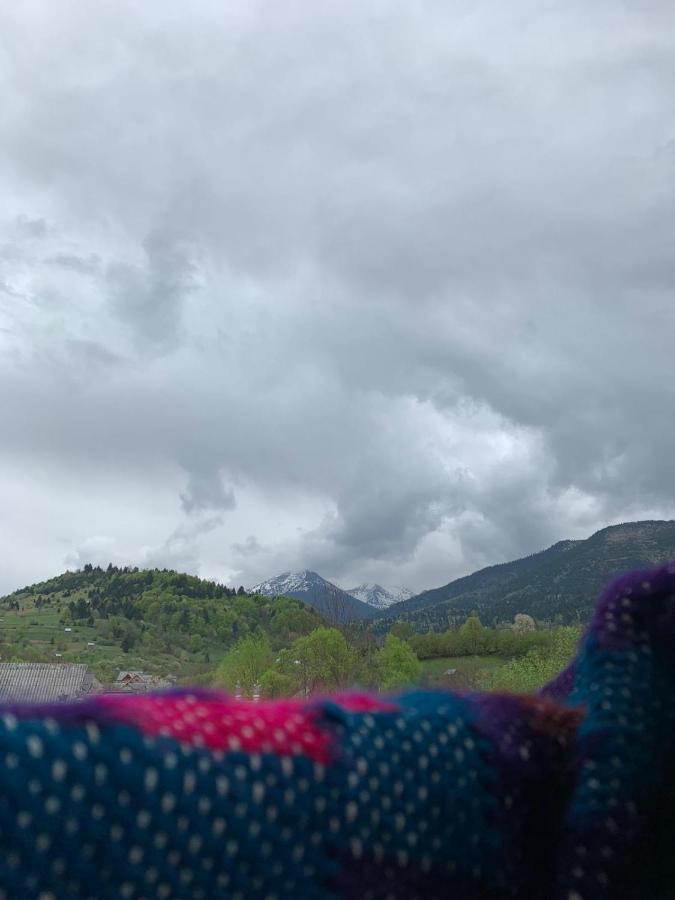 Pensiunea Simi Moisei Buitenkant foto